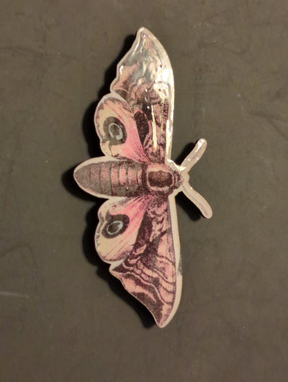 SECRET ITEM #2 - Cut Wood Moth Printed Magnet